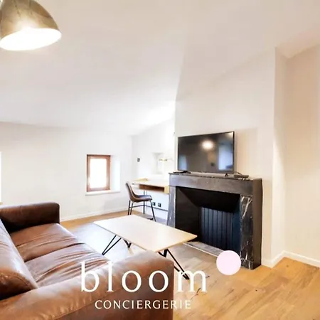 Vieille Bel Renove Apartment Nancy