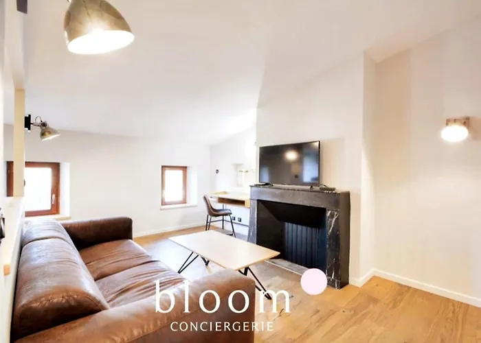 Vieille Bel Renove Appartamento Nancy