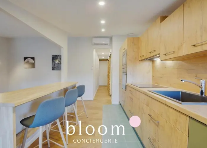 Vieille Bel Renove Apartment