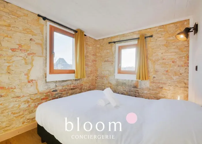 Vieille Bel Renove Nancy