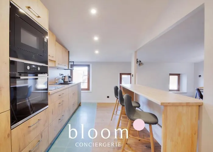 Vieille Bel Renove Apartment